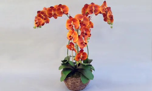 High Quality Artificial Orchid Flowers