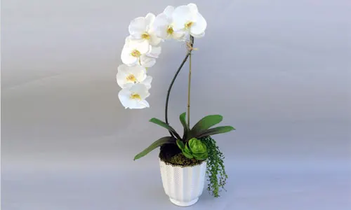 Artificial Silk Flower Arrangements Experts
