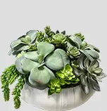 Artificial/Silk Faux Succulent Arrangements