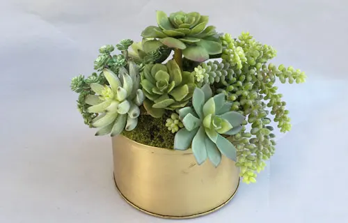 Long Lasting Fake Succulent Arrangements