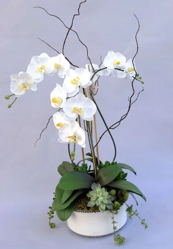 Handcrafted Pure Silk Orchids in Orange County, CA