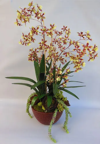 Highest Quality Silk Orchid Flowers in Irvine, CA