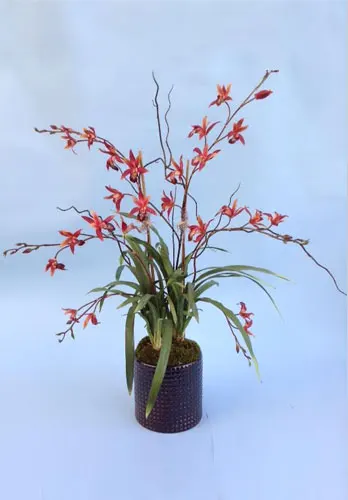 Modern & Beautiful Orchid Floral Design Anaheim