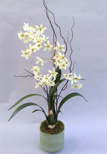 Orchid Silk Plants Showroom San Juan Capistrano, CA