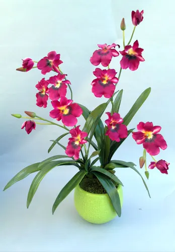 Orchid Silk Plants with Ceramic Vases Lake Forest