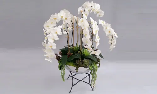 Dana Point Premade & Custom Designs Orchids