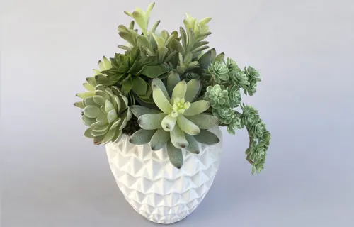 Dana Point Silk Faux Succulent Arrangements